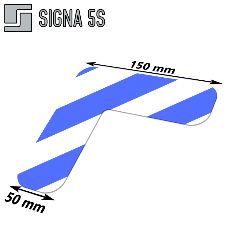 ZPLD5 BIANIE.png