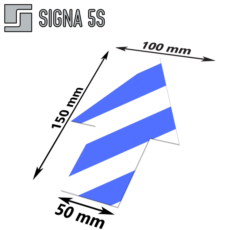 ZPS5 BIANIE.png