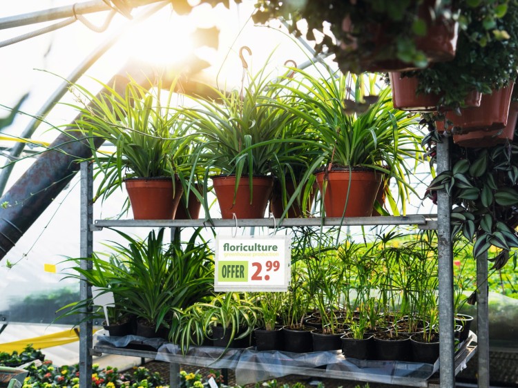 5059_19_IMG_A.705b7937